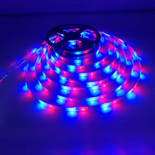 Load image into Gallery viewer, 5/10/20m LED Strip IP33
